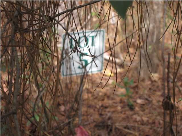 5 Tobacco Rd, Awendaw, SC 29429