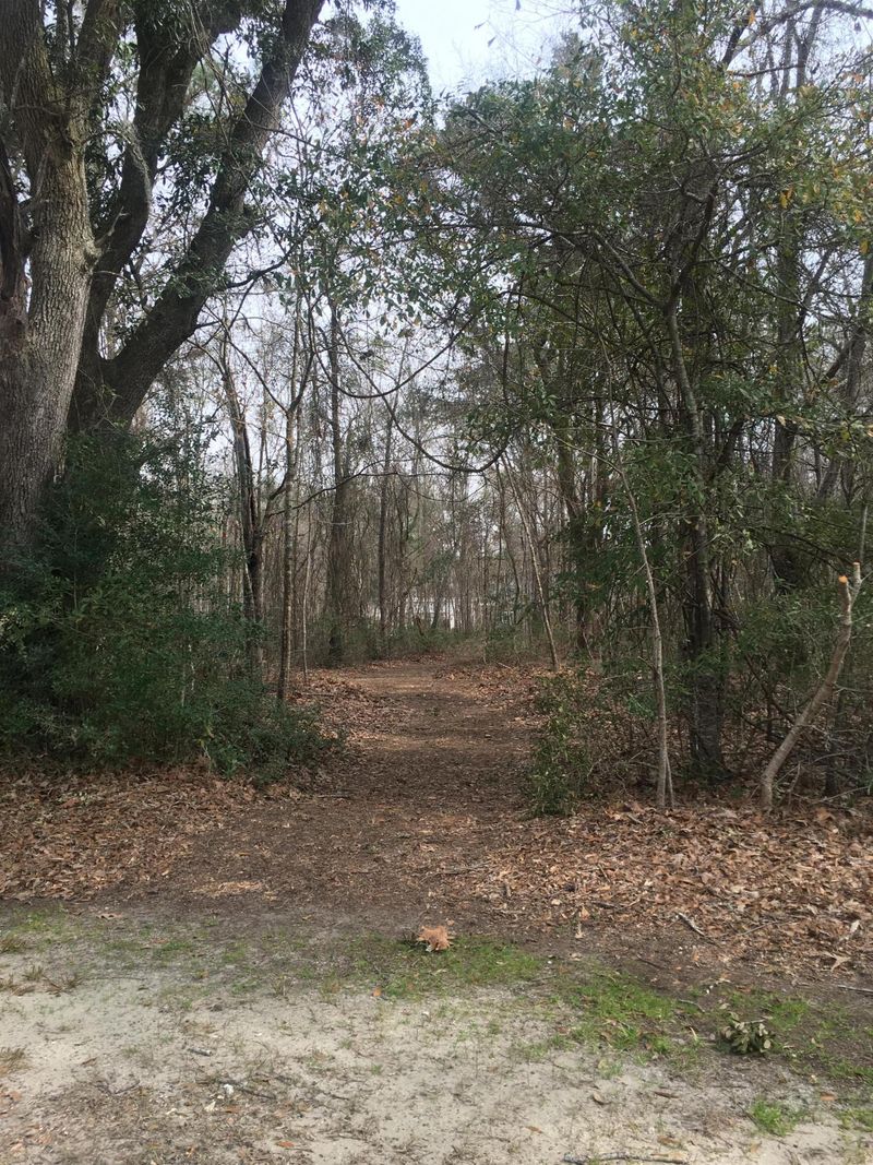 3599 Thunder Gulch Trl, Mount Pleasant, SC 29466