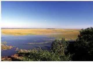 284 Old House Ln, Dewees Island, SC 29451