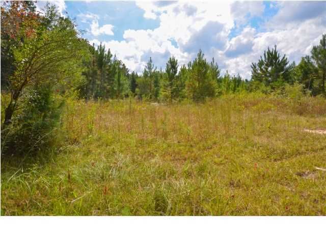 0 Nehemiah Ln, Moncks Corner, SC 29461