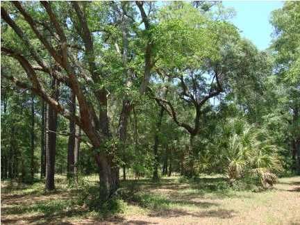 4 Retriever Rd, Wadmalaw Island, SC 29487
