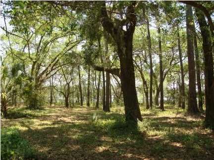 4 Retriever Rd, Wadmalaw Island, SC 29487
