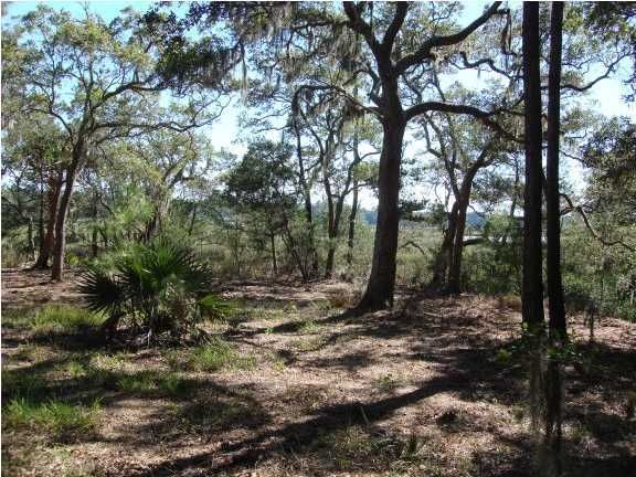 4 Retriever Rd, Wadmalaw Island, SC 29487
