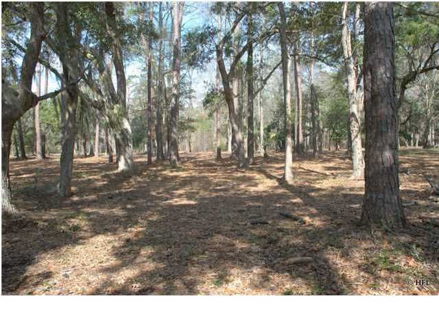 6 Retriever Rd, Wadmalaw Island, SC 29487