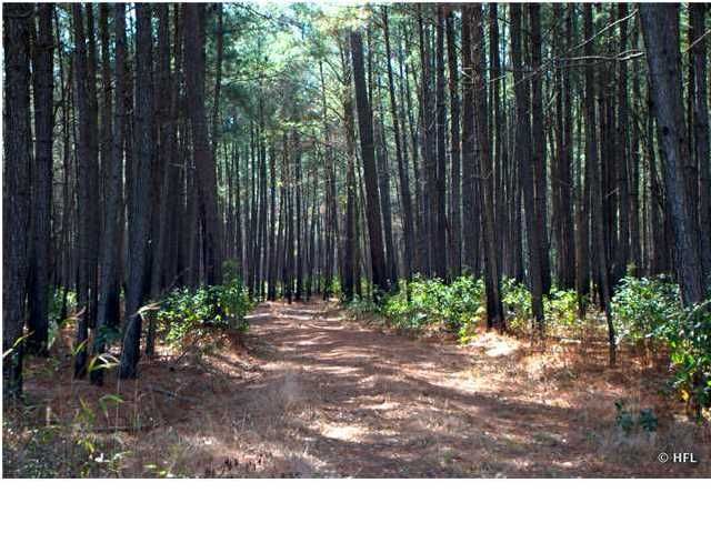6 Retriever Rd, Wadmalaw Island, SC 29487