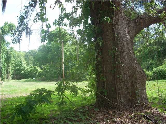 3966 W River Rd, Johns Island, SC 29455