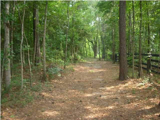 0 Old Rosebud Ln, Awendaw, SC 29429