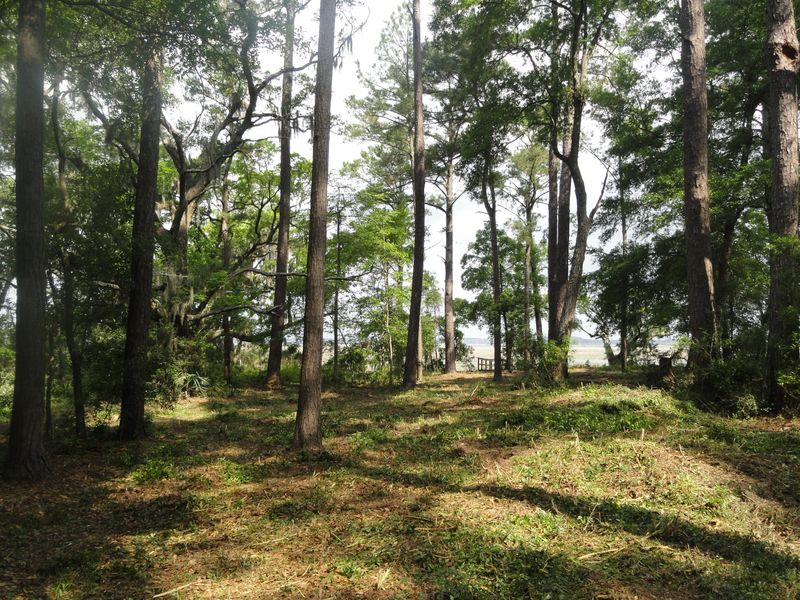 6946 Bears Bluff Rd, Wadmalaw Island, SC 29487