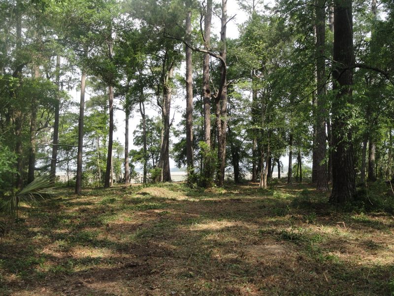 6946 Bears Bluff Rd, Wadmalaw Island, SC 29487
