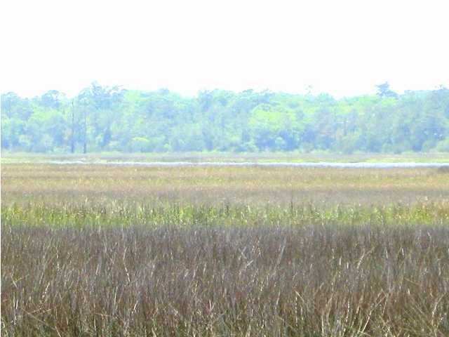 2291 Woodland Shores Rd, Charleston, SC 29412