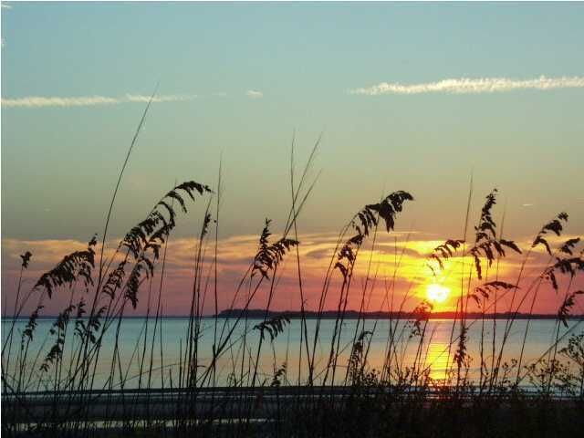 8668 Palmetto Rd, Edisto Island, SC 29438