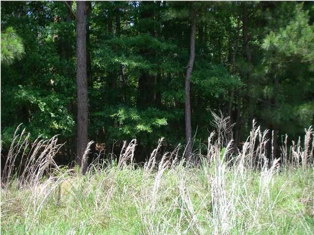 134 Saint Michaels Pl, Moncks Corner, SC 29461