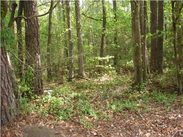 2 Ashley River Rd, Summerville, SC 29485