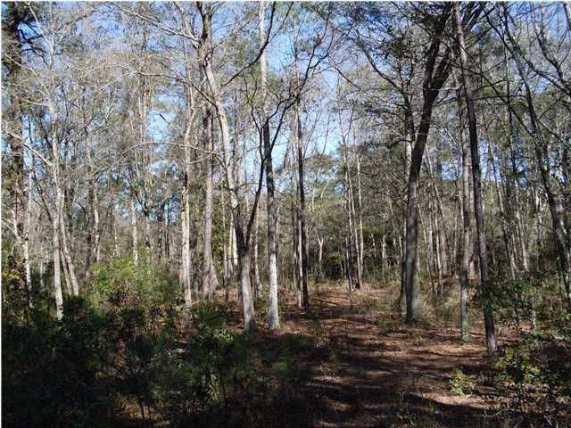 10 Roast Duck Ln, Johns Island, SC 29455