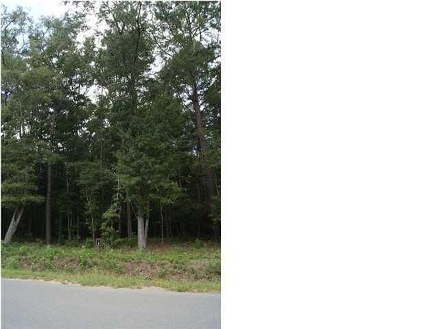 1 Pepper Grass Trl, Ravenel, SC 29470