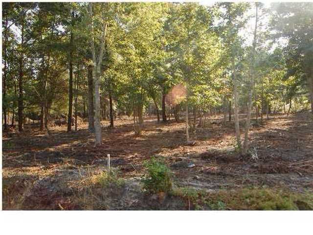 0 Tannanger Ail Trl, Awendaw, SC 29429