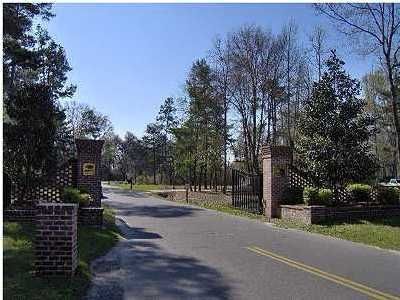 111 Rhetts Way, Summerville, SC 29485