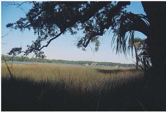 1509 Spring Line Dr, Mount Pleasant, SC 29466