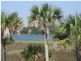 1509 Spring Line Dr, Mount Pleasant, SC 29466