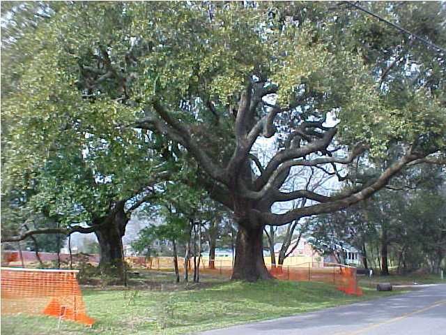 1771 Old Military Rd, Charleston, SC 29412