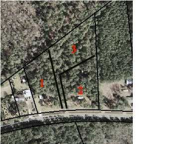 9680 Randall Ln, Mcclellanville, SC 29458
