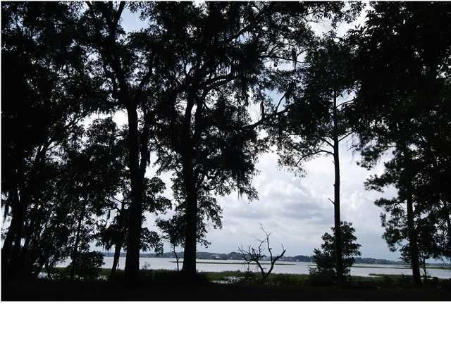 1340 Polly Point Rd, Wadmalaw Island, SC 29487