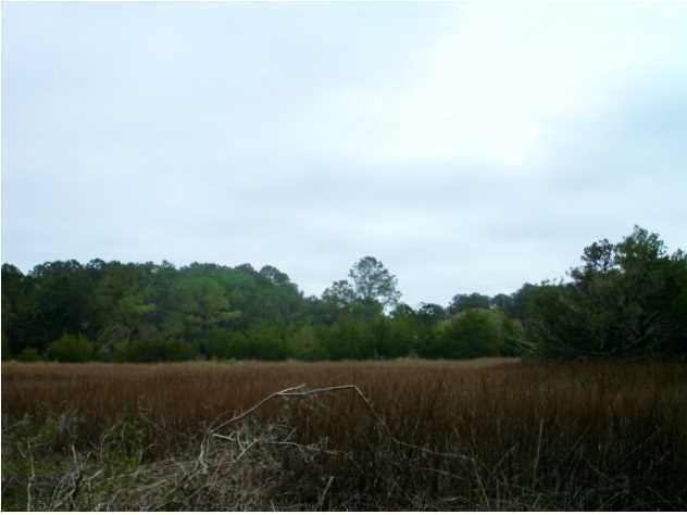 32 St Pierre Creek Dr, Edisto Island, SC 29438
