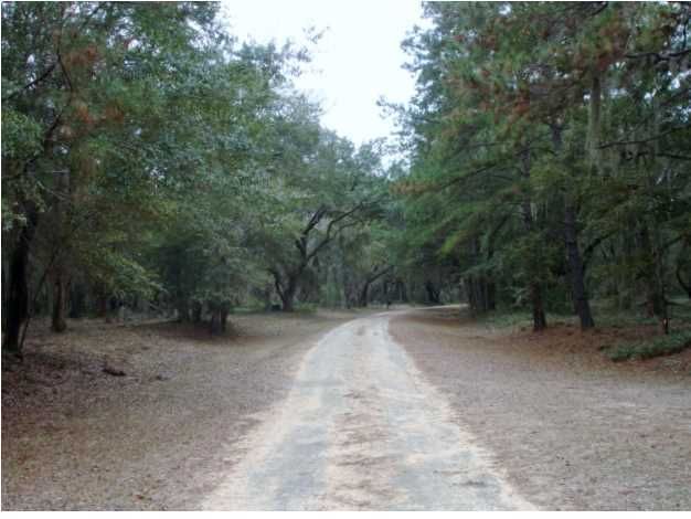 32 St Pierre Creek Dr, Edisto Island, SC 29438