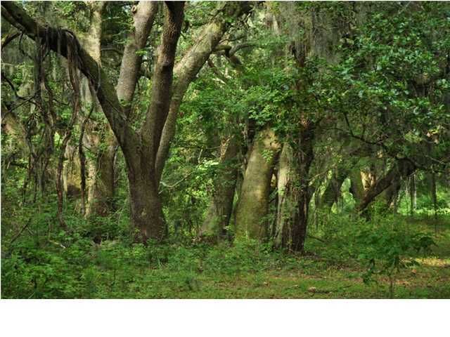 1642 Clark Hill Rd, Edisto Island, SC 29438