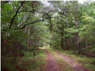 4 Highway 174, Adams Run, SC 29449
