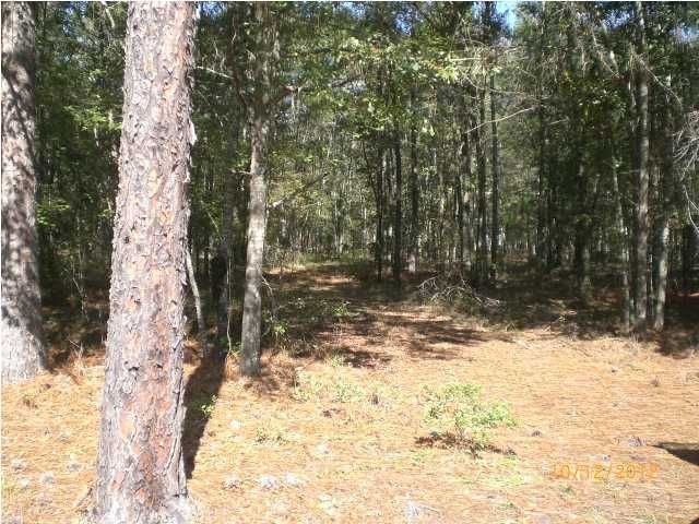 830 Zion Rd, Dorchester, SC 29437
