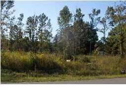 0 Thurgood Rd, Goose Creek, SC 29445