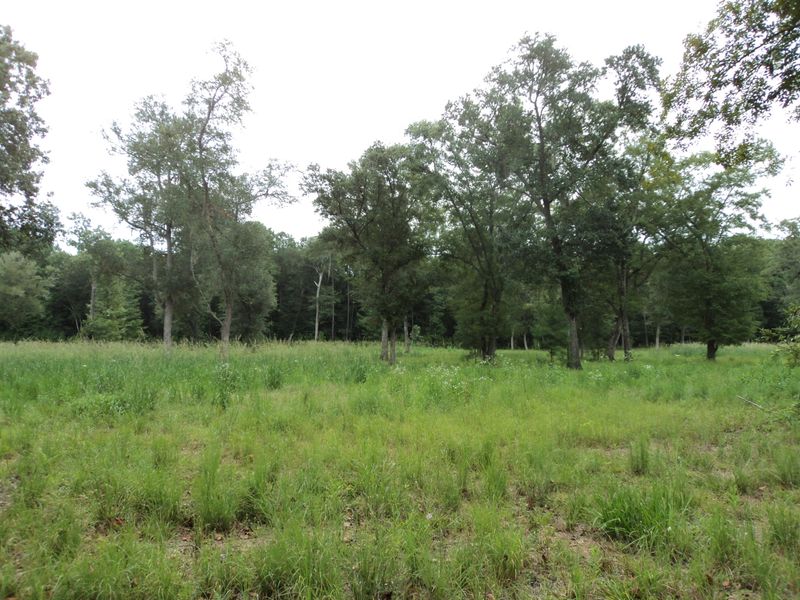4841 Bears Bluff Rd, Wadmalaw Island, SC 29487