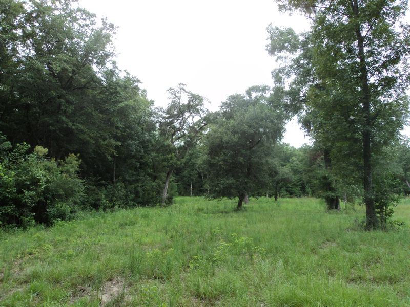 4841 Bears Bluff Rd, Wadmalaw Island, SC 29487