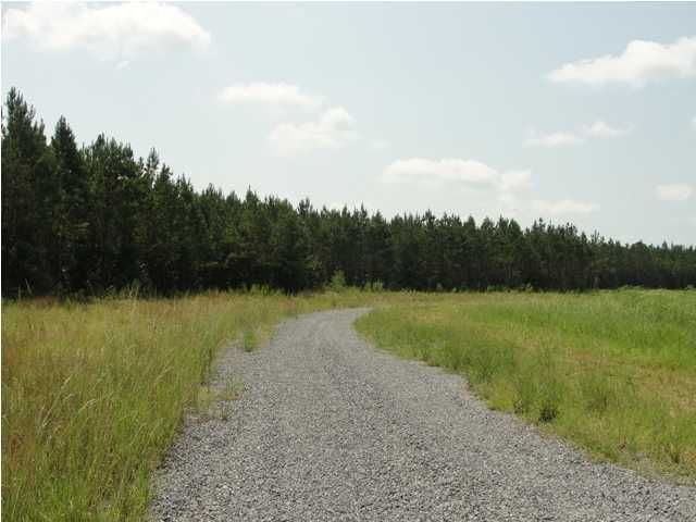7 Emerson Dr, Cainhoy, SC 29492