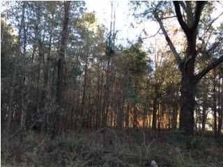 13 Huff Rd, Saint George, SC 29477