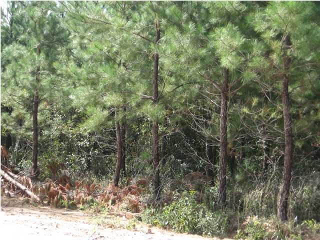 511 Keystone Lake Ln, Huger, SC 29450