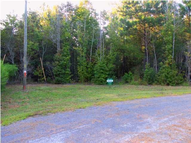 1463 Tannanger Trl, Wando, SC 29429