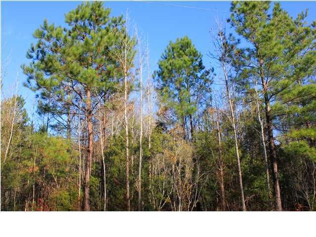 1463 Tannanger Trl, Wando, SC 29429