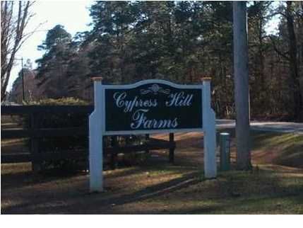 2 Cypress Hill Ln, Ridgeville, SC 29472