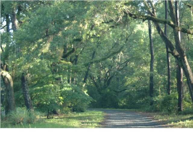 3 Shilelagh Oaks Pw, Ravenel, SC 29470