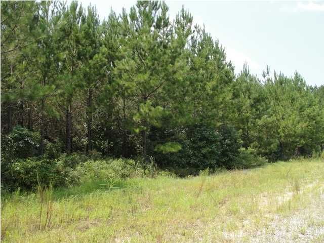 10 Emerson Dr, Cainhoy, SC 29492