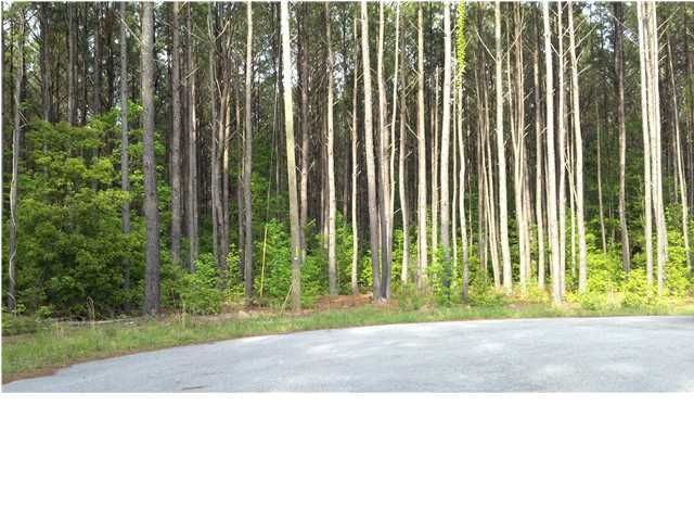 12 Oak Creek Ct, Bonneau, SC 29431
