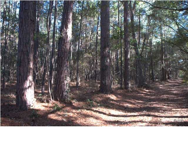 2755 Bohicket Rd, Johns Island, SC 29455