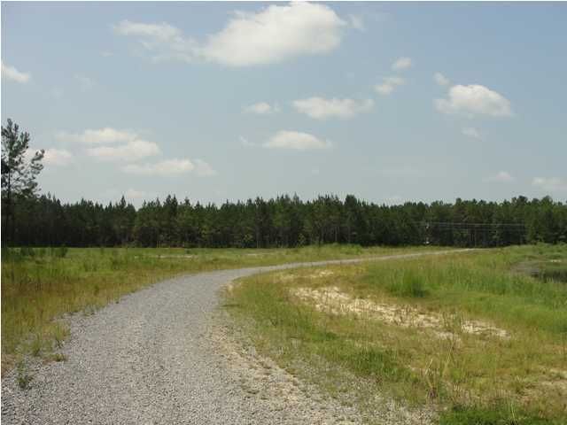 5 Emerson Dr, Cainhoy, SC 29492