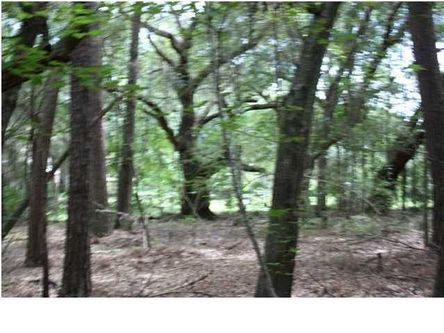 4170 Chisolm Rd, Johns Island, SC 29455