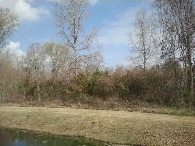 123 Harvest Way, Summerville, SC 29483