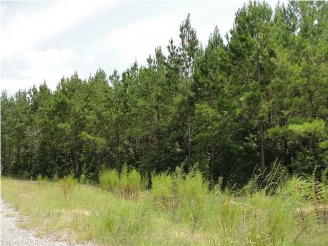 8 Emerson Dr, Cainhoy, SC 29492
