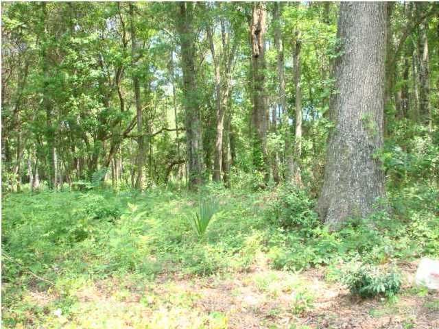 2263 Highway 174, Edisto Island, SC 29438