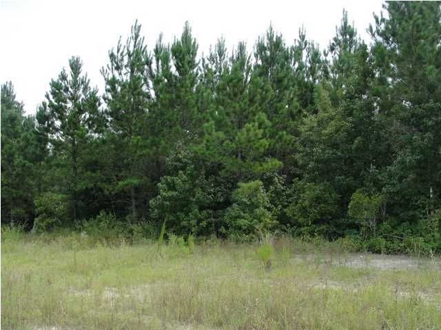 6 Emerson Dr, Cainhoy, SC 29492